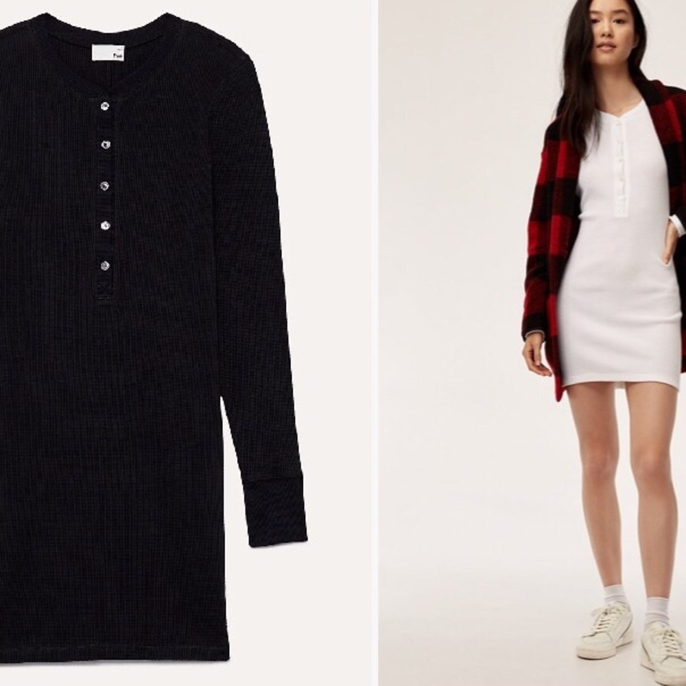 Aritzia Wilfred Free Eva Dress